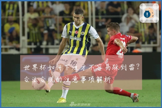 世界杯如何下注才不容易踩到雷？合法合规的注意事项解析