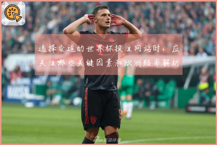 选择合适的世界杯投注网站时，应关注哪些关键因素和欧洲赔率解析？