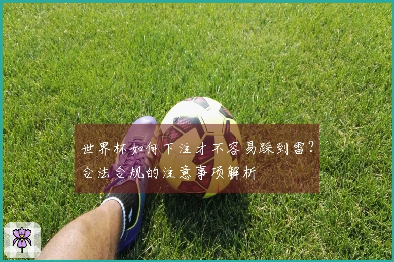 世界杯如何下注才不容易踩到雷？合法合规的注意事项解析